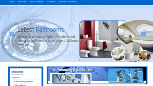 Online Webpage Websites the plumbing specialists